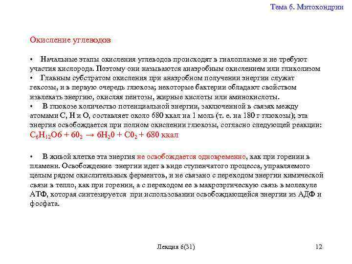 Тема 6. Митохондрии Окисление углеводов • Начальные этапы окисления углеводов происходят в гиалоплазме и