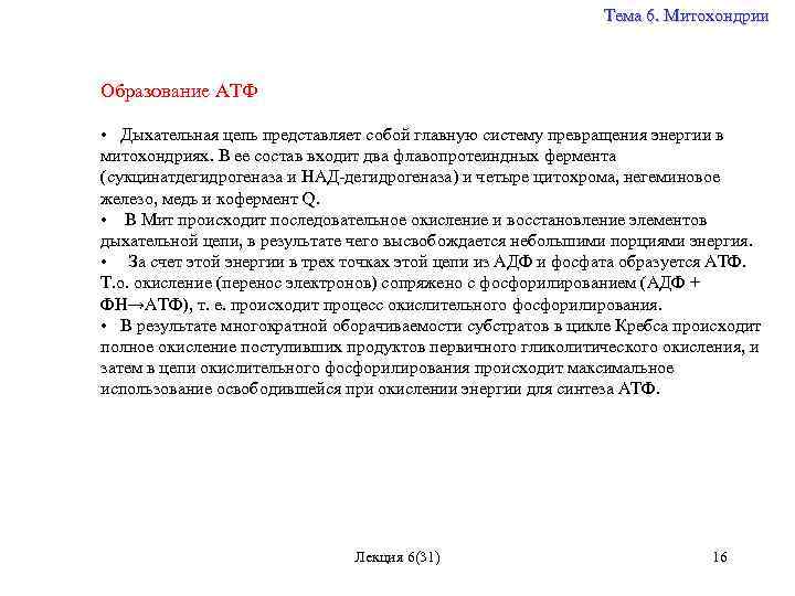 Тема 6. Митохондрии Образование АТФ • Дыхательная цепь представляет собой главную систему превращения энергии