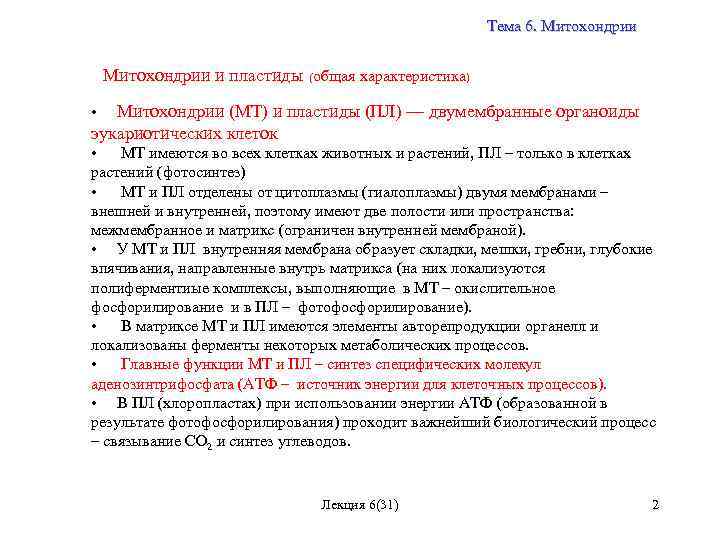 Тема 6. Митохондрии и пластиды (общая характеристика) • Митохондрии (МТ) и пластиды (ПЛ) —