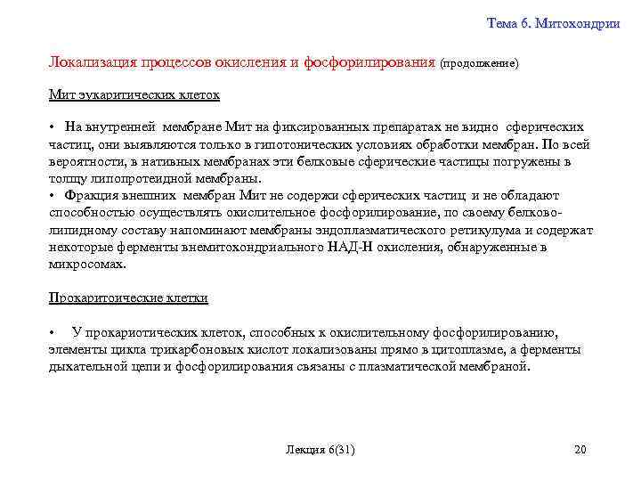 Тема 6. Митохондрии Локализация процессов окисления и фосфорилирования (продолжение) Мит эукаритических клеток • На