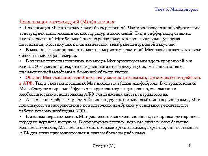 Тема 6. Митохондрии Локализация митохондрий (Мит)в клетках • Локализация Мит в клетках может быть