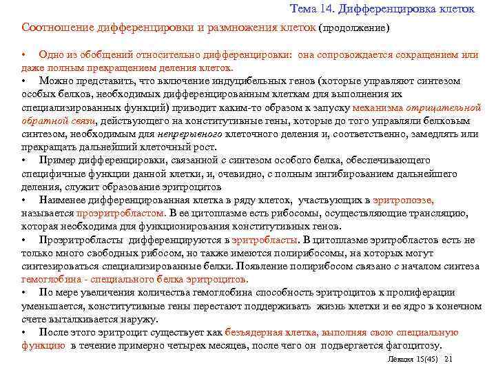 Тема 14. Дифференцировка клеток Соотношение дифференцировки и размножения клеток (продолжение) • Одно из обобщений