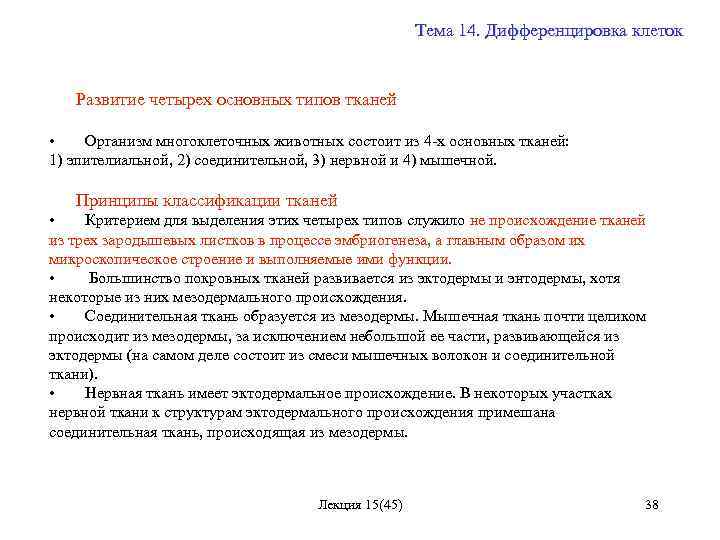 Тема 14. Дифференцировка клеток Развитие четырех основных типов тканей • Организм многоклеточных животных состоит
