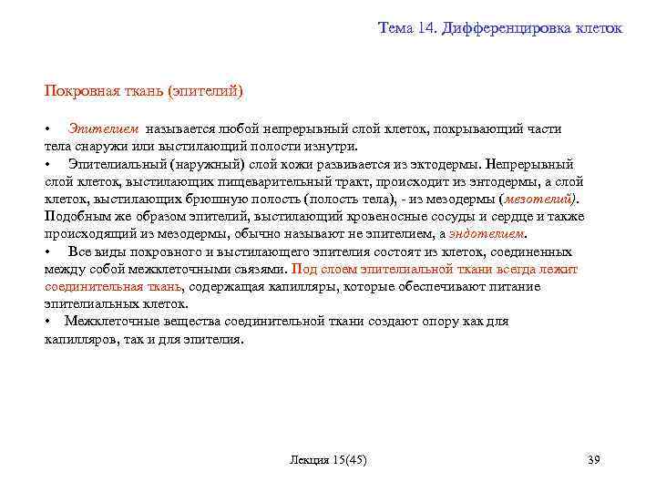 Тема 14. Дифференцировка клеток Покровная ткань (эпителий) • Эпителием называется любой непрерывный слой клеток,