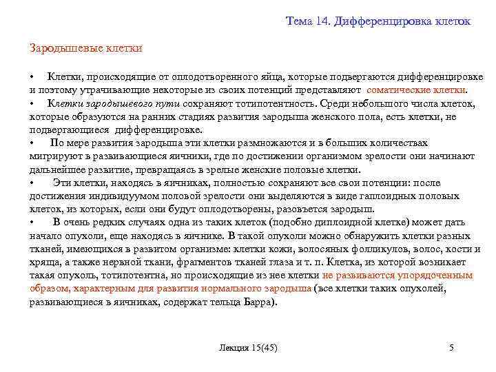 Тема 14. Дифференцировка клеток Зародышевые клетки • Клетки, происходящие от оплодотворенного яйца, которые подвергаются