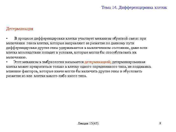 Тема 14. Дифференцировка клеток Детерминация • В процессе дифференцировки клетки участвует механизм обратной связи: