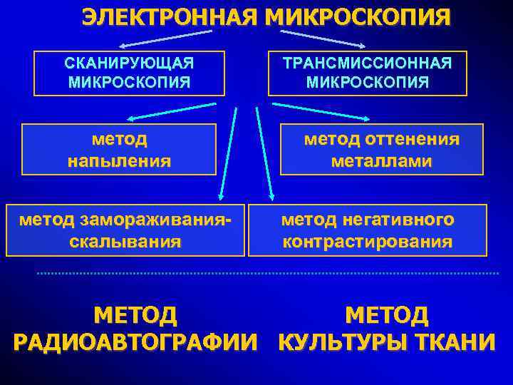 ЭЛЕКТРОННАЯ МИКРОСКОПИЯ СКАНИРУЮЩАЯ МИКРОСКОПИЯ метод напыления метод замораживанияскалывания ТРАНСМИССИОННАЯ МИКРОСКОПИЯ метод оттенения металлами метод