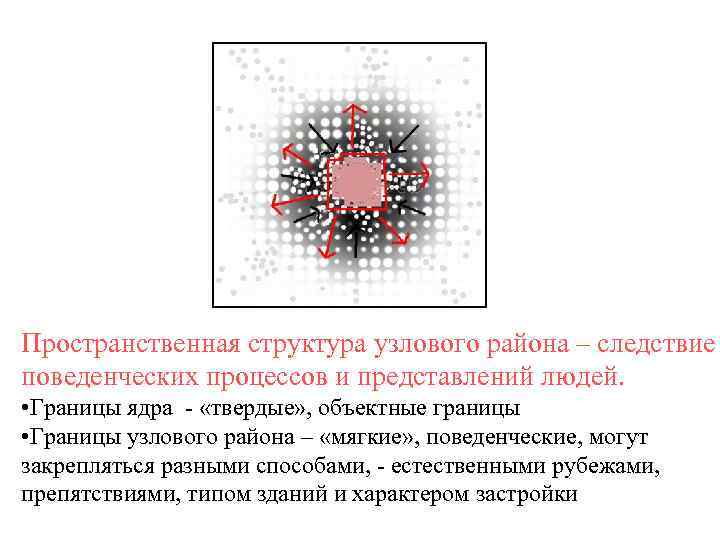 Пространственная структура узлового района – следствие поведенческих процессов и представлений людей. • Границы ядра