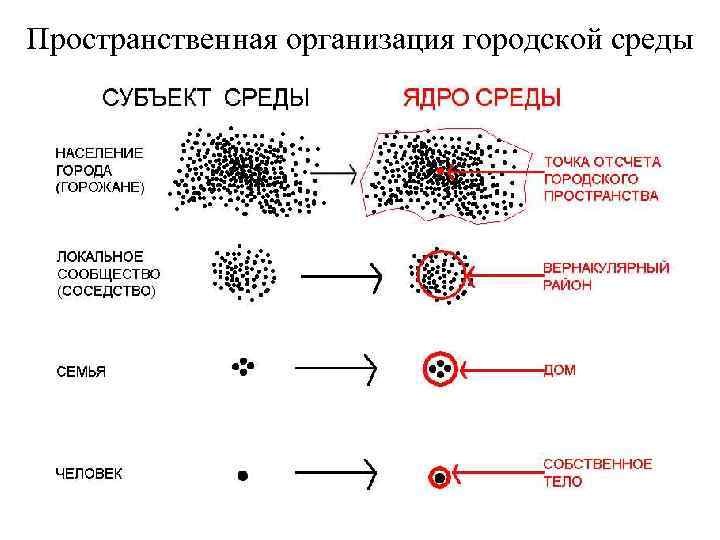 Пространственная организация. Пространственная структура города. Городские пространственные структуры. Схемы пространственной организации города.