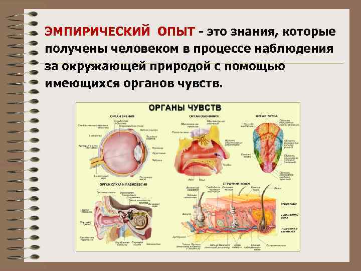 ЭМПИРИЧЕСКИЙ ОПЫТ - это знания, которые получены человеком в процессе наблюдения за окружающей природой