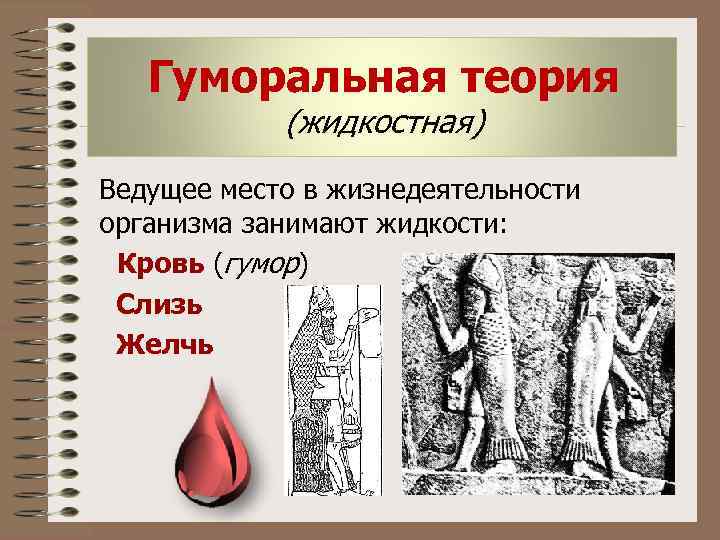 Гуморальная теория