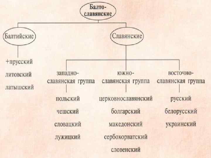 Славянские языки схема