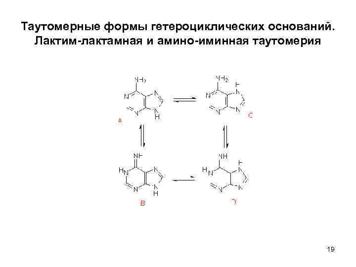 Схема таутомерных превращений гуанина - 88 фото