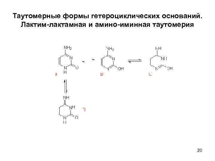 Таутомерия аденина. Таутомерные формы гуанина. Енамин иминная таутомерия гуанина. Амино иминная таутомерия Тимина. Енамин-иминная таутомерия цитозина.