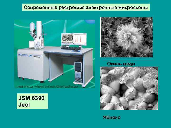 Современные растровые электронные микроскопы Окись меди JSM 6390 Jeol Яблоко 