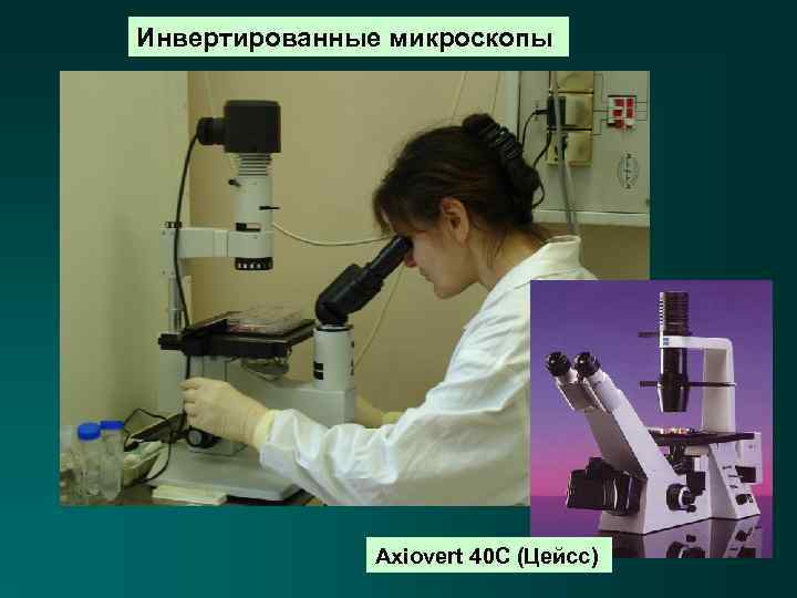 Инвертированные микроскопы Axiovert 40 C (Цейсс) 