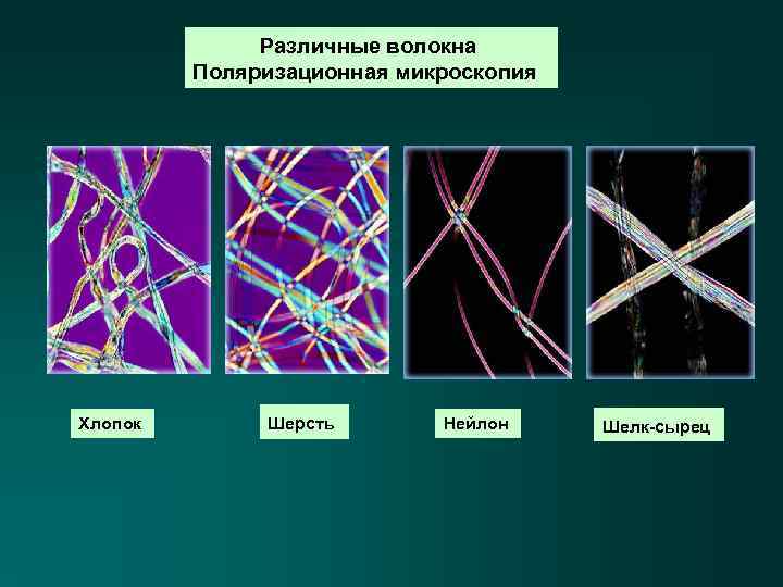 Различные волокна Поляризационная микроскопия Хлопок Шерсть Нейлон Шелк-сырец 