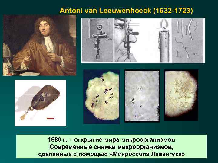 Antoni van Leeuwenhoeck (1632 -1723) 1680 г. – открытие мира микроорганизмов Современные снимки микроорганизмов,