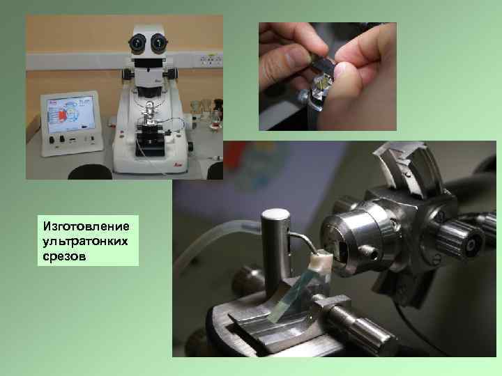 Изготовление ультратонких срезов 