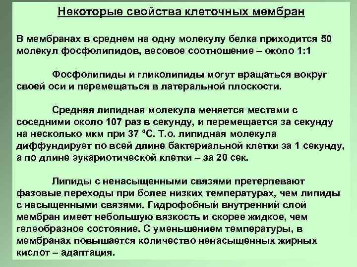 Некоторые свойства клеточных мембран В мембранах в среднем на одну молекулу белка приходится 50