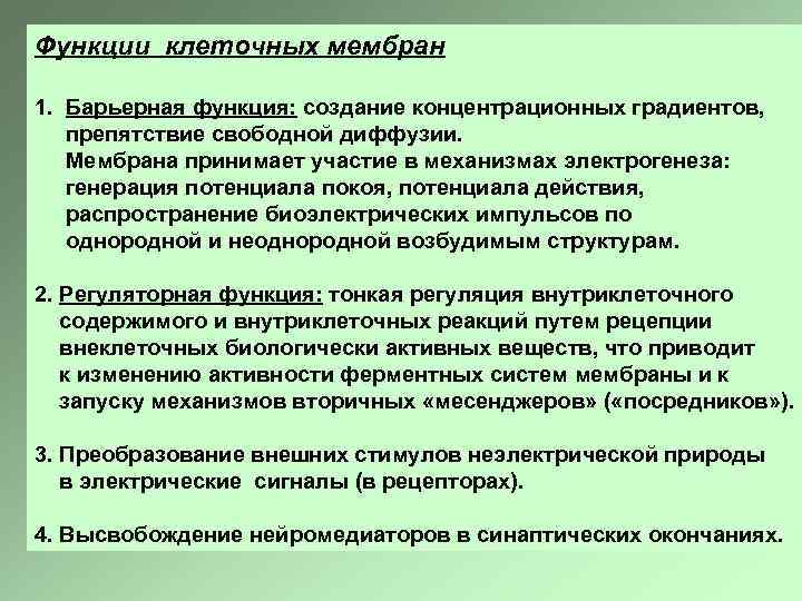 Функции клеточных мембран 1. Барьерная функция: создание концентрационных градиентов, препятствие свободной диффузии. Мембрана принимает