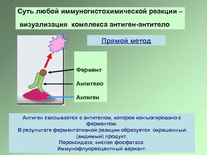 Суть любой иммуногистохимической реакции – визуализация комплекса антиген-антитело Прямой метод Фермент Антитело Антиген связывается