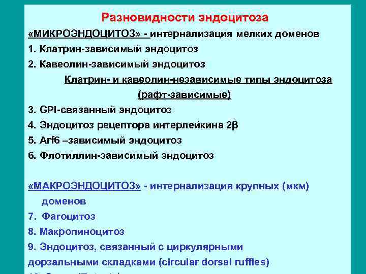 Разновидности эндоцитоза «МИКРОЭНДОЦИТОЗ» - интернализация мелких доменов 1. Клатрин-зависимый эндоцитоз 2. Кавеолин-зависимый эндоцитоз Клатрин-