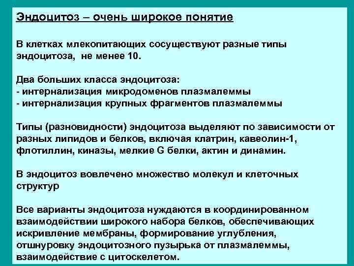 Эндоцитоз – очень широкое понятие В клетках млекопитающих сосуществуют разные типы эндоцитоза, не менее