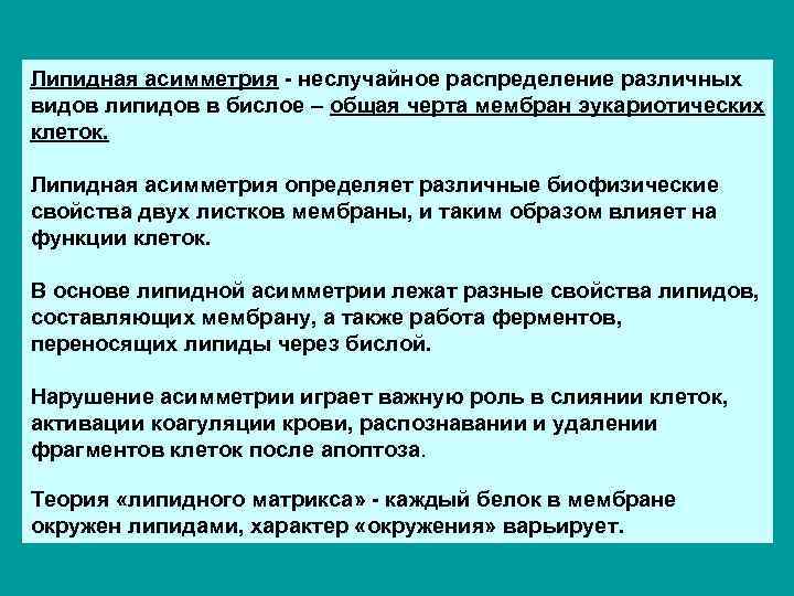 Липидная асимметрия - неслучайное распределение различных видов липидов в бислое – общая черта мембран
