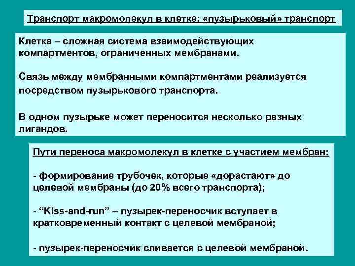 Транспорт макромолекул в клетке: «пузырьковый» транспорт Клетка – сложная система взаимодействующих компартментов, ограниченных мембранами.