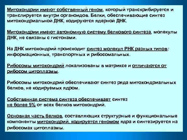 Митохондрии имеют собственный геном, который транскрибируется и транслируется внутри органоидов. Белки, обеспечивающие синтез митохондриальной