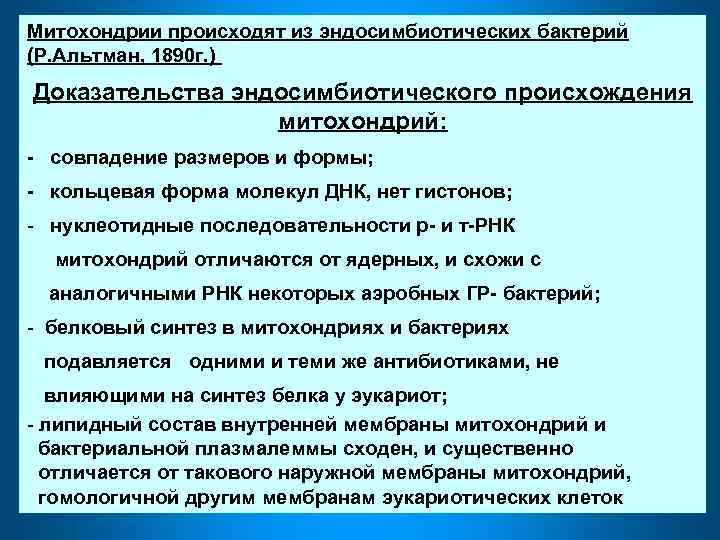 Митохондрии происходят из эндосимбиотических бактерий (Р. Альтман, 1890 г. ) Доказательства эндосимбиотического происхождения митохондрий: