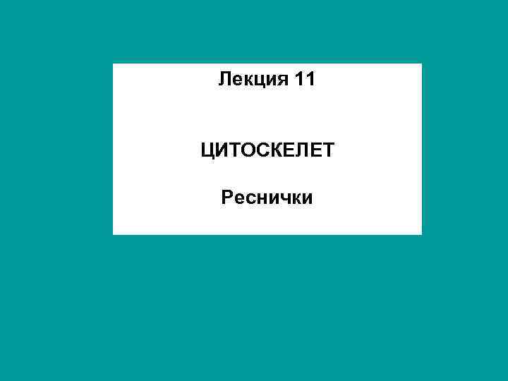 Лекция 11 ЦИТОСКЕЛЕТ Реснички 