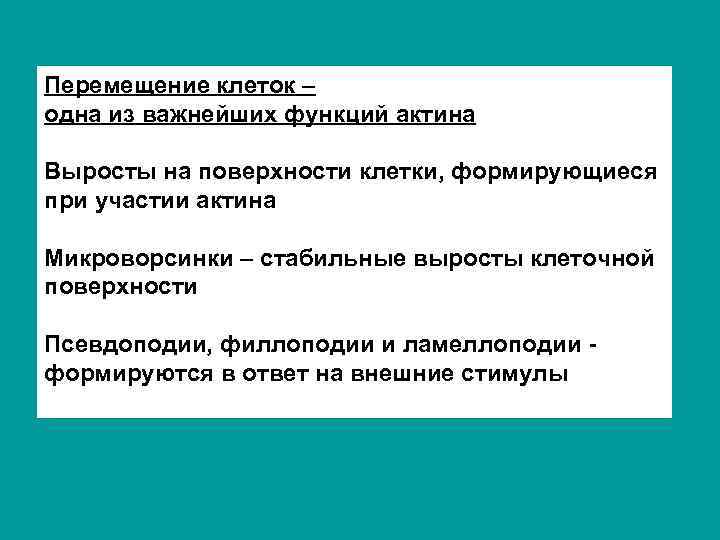 Перемещение клеток – одна из важнейших функций актина Выросты на поверхности клетки, формирующиеся при