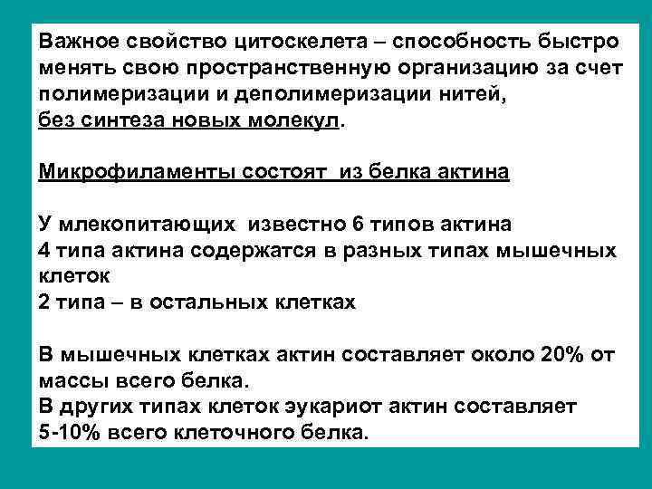 Важное свойство цитоскелета – способность быстро менять свою пространственную организацию за счет полимеризации и
