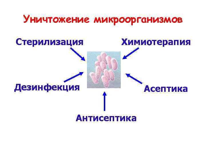 Уничтожение микроорганизмов Стерилизация Химиотерапия Дезинфекция Антисептика Асептика 