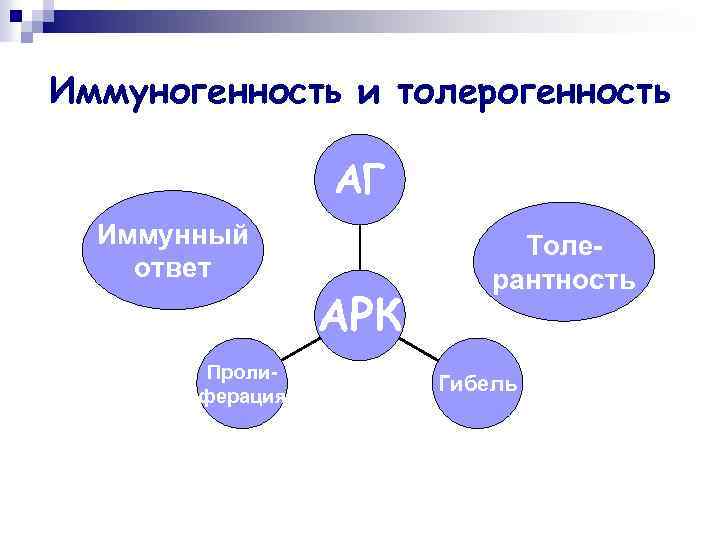 Иммуногенность и толерогенность АГ Иммунный ответ Пролиферация АРК Толерантность Гибель 