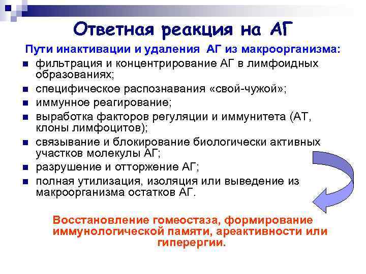 Ответная реакция на АГ Пути инактивации и удаления АГ из макроорганизма: n фильтрация и
