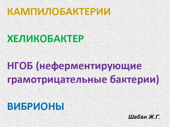 КАМПИЛОБАКТЕРИИ ХЕЛИКОБАКТЕР НГОБ (неферментирующие грамотрицательные бактерии) ВИБРИОНЫ Шабан Ж. Г. 