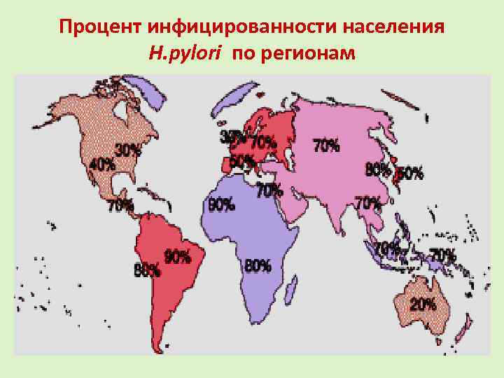 Процент инфицированности населения H. pylori по регионам 