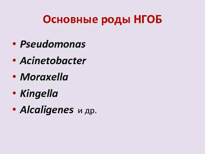 Основные роды НГОБ • • • Pseudomonas Acinetobacter Moraxella Kingella Alcaligenes и др. 