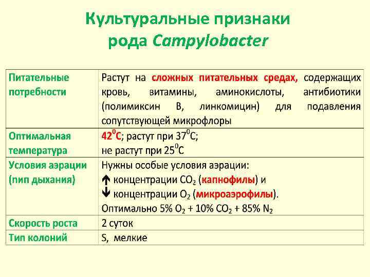 Культуральные признаки рода Campylobacter 