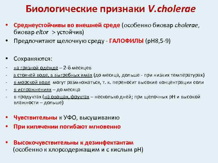 Биологические признаки V. cholerae • Среднеустойчивы во внешней среде (особенно биовар cholerae, биовар eltor
