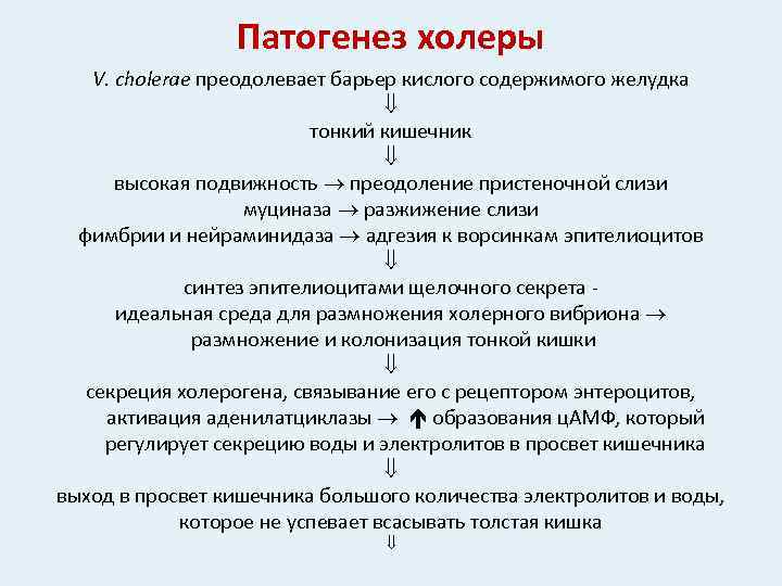 Патогенез холеры V. cholerae преодолевает барьер кислого содержимого желудка тонкий кишечник высокая подвижность преодоление