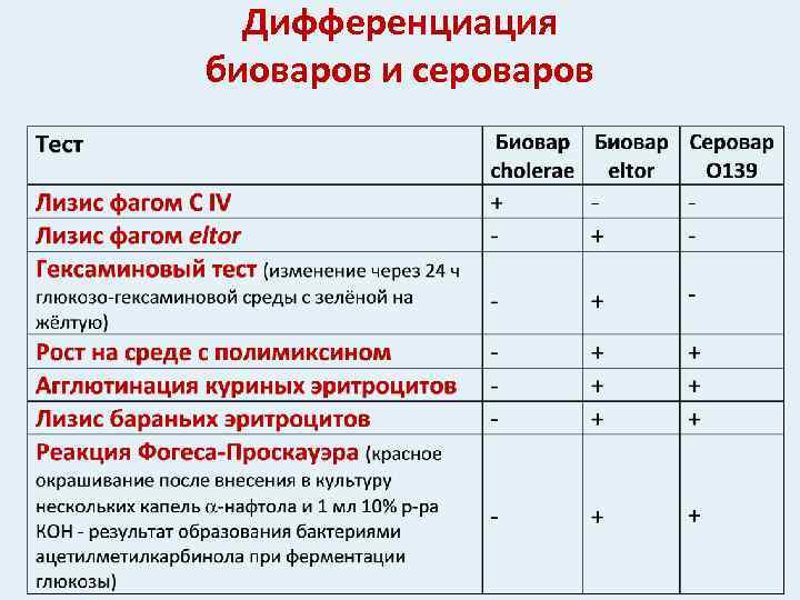 Дифференциация биоваров и сероваров 