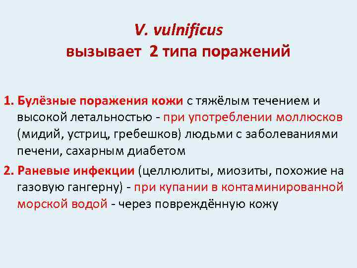 V. vulnificus вызывает 2 типа поражений 1. Булёзные поражения кожи с тяжёлым течением и