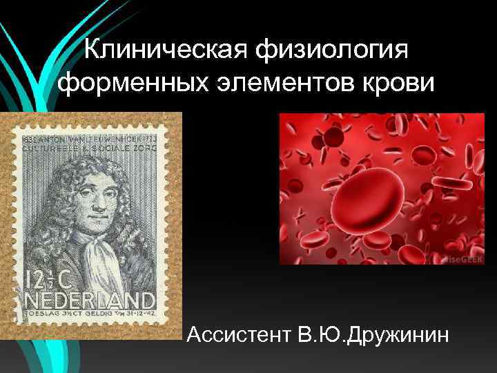 Клиническая физиология форменных элементов крови Ассистент В. Ю. Дружинин 