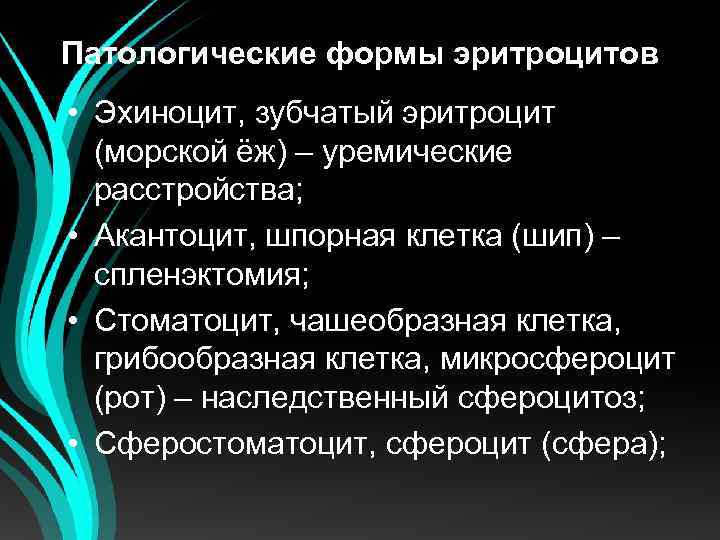 Патологические формы эритроцитов • Эхиноцит, зубчатый эритроцит (морской ёж) – уремические расстройства; • Акантоцит,