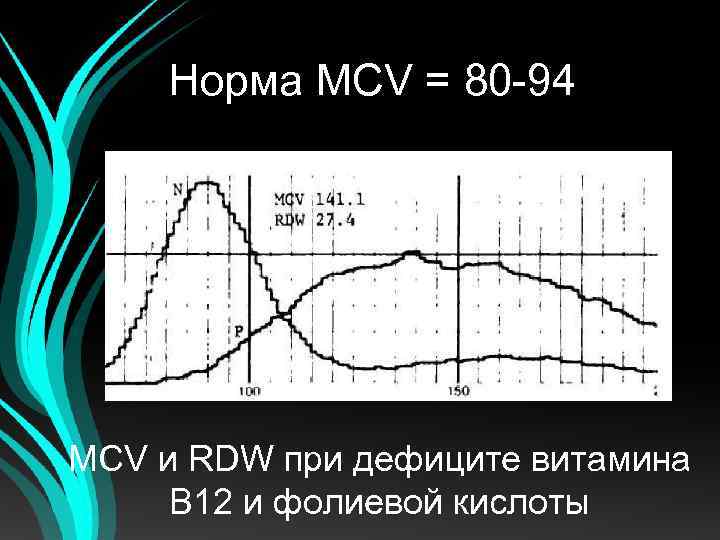 Норма MCV = 80 -94 MCV и RDW при дефиците витамина B 12 и