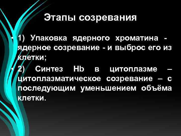 Этапы созревания • 1) Упаковка ядерного хроматина ядерное созревание - и выброс его из